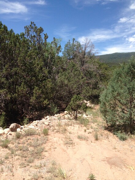 0 Columbine Ln, Cedar Crest, NM 87008