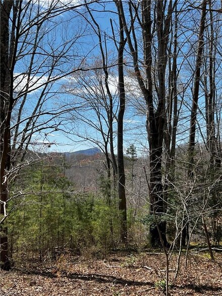 0 Bob Mabe Rd, Danbury, NC 27016