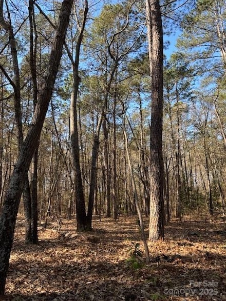 00 Linden Dr, Rockingham, NC 28379