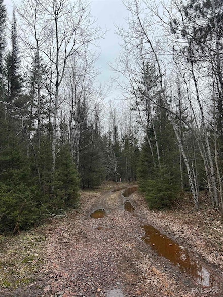 Parcel 6 Off Johnson Lake Rd, Gwinn, MI 49841