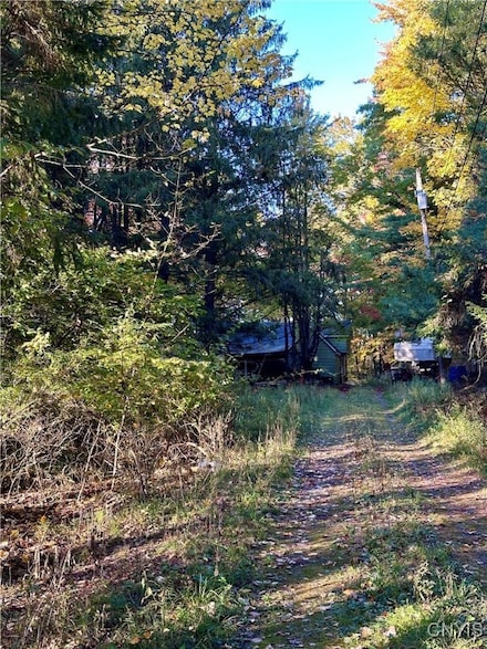 344 Brown Rd, Frankfort, NY 13340
