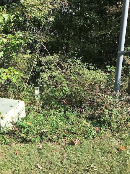 TBD Lot#45 Chestnutwood Dr, Chilhowie, VA 24319