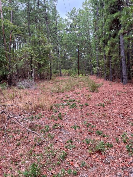 TBD Acr 4441, Palestine, TX 75801