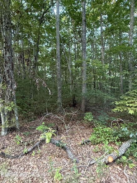 Lot 5 Clyde Place, Monterey, TN 38574