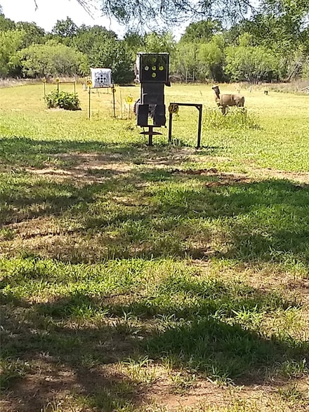 1800 County Road 479, Gorman, TX 76454