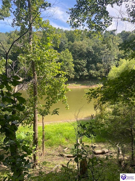 992 J M Mercer Campsite Rd Unit Lots 12 & 13, Hudson, KY 40145