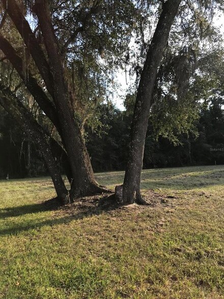 0 W Highway 318 Unit MFROM563354, Reddick, FL 32686