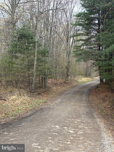 0 Little Wolf Rd, Snow Shoe Township, PA 16829