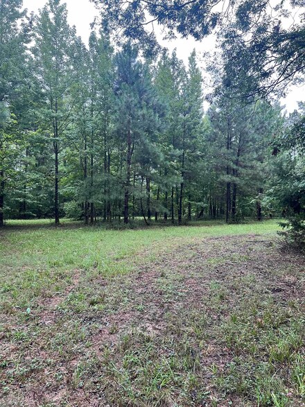 295 Drew 22 Ln, Monticello, AR 71655