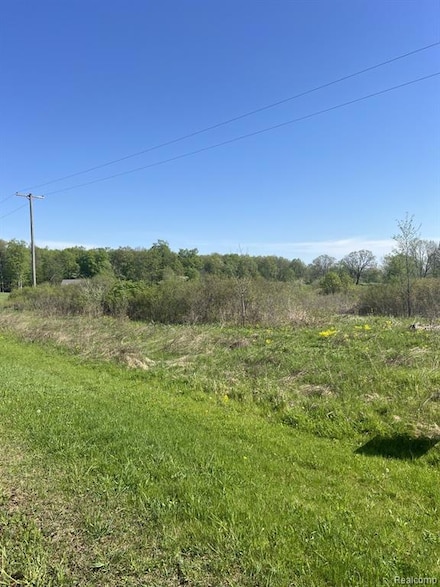VL Turtle Lake Rd, Rich Township, MI 48461