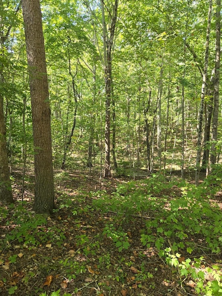 0 Raven Cliff Rd Unit 1500015, Graysville, TN 37338