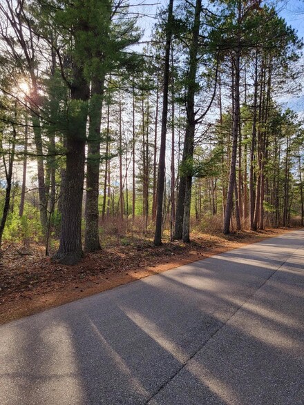Lot 6 Clear Lake Rd, Manitowish Waters, WI 54545