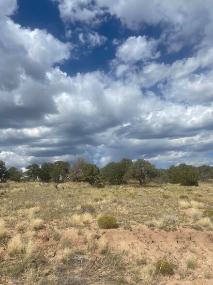 0 Cl&g Ranch Unit Lot 34 24-1025, Walsenburg, CO 81089