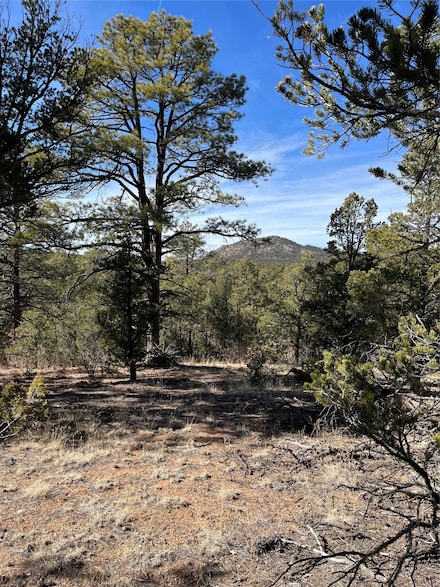 0 La Posta Way Unit 202500783, Cañada de Los Alamos, NM 87505