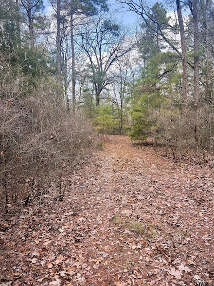 000 Private Road 8000, Winnsboro, TX 75494
