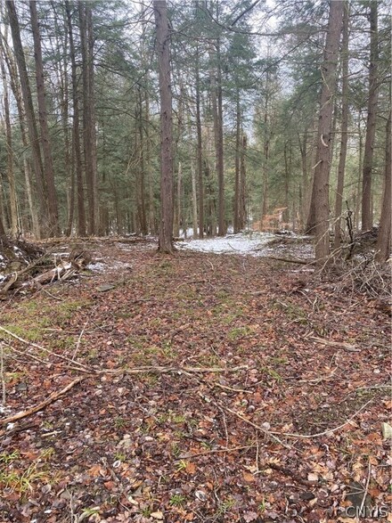 L21 Wylie-Horton Rd, Greene, NY 13778