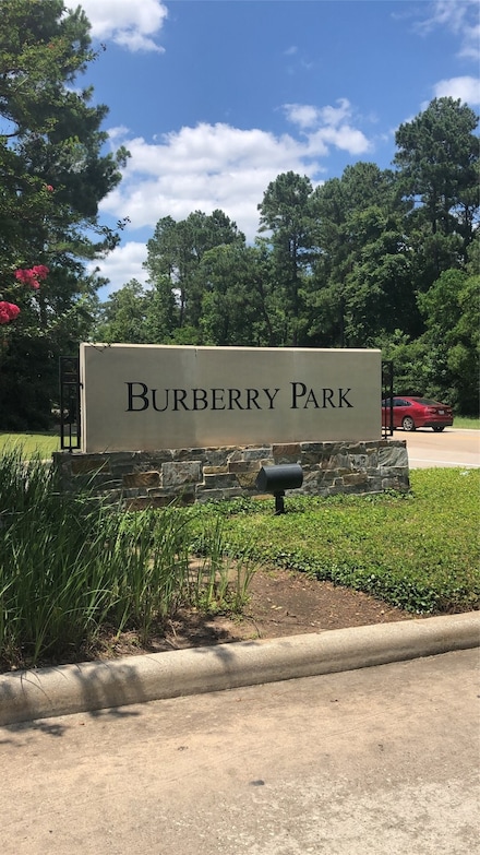 11 Aquiline Oaks Place, Spring, TX 77382