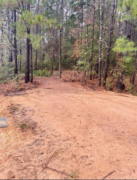 663 Marion Ferry Rd, Huntington, TX 75949