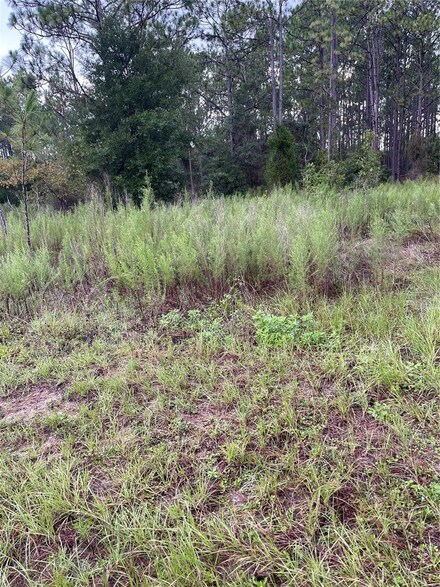 0 SW 207 Ct Unit MFROM682930, Dunnellon, FL 34431
