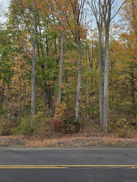 295 & 305 (Lot 103 & Oregon St, Meriden, CT 06451