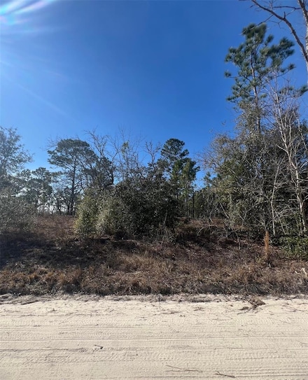 TBD SE 186 Terrace, Morriston, FL 32668