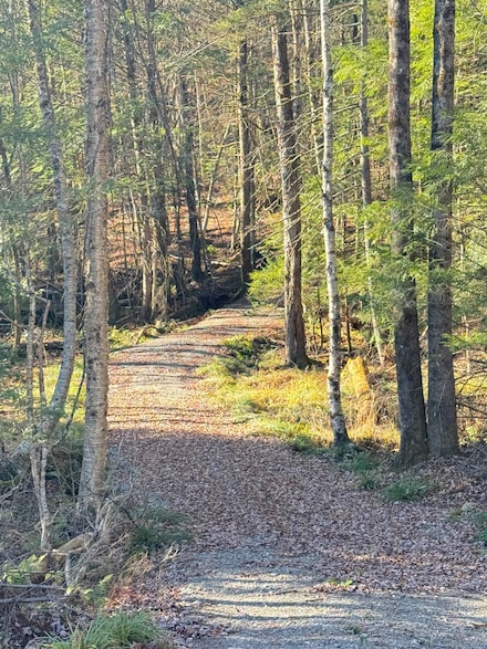 276 Red Tree Ln, Morristown, VT 05661