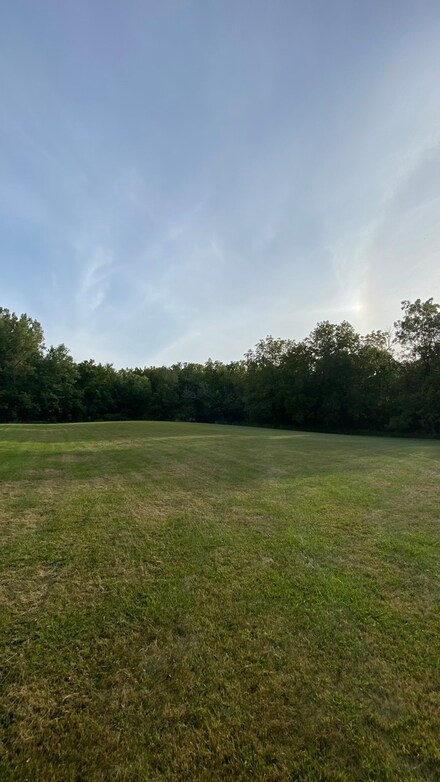 1250 North St, Buda, IL 61314