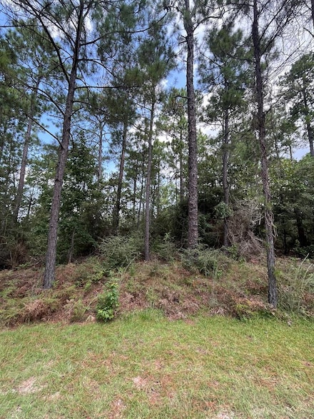 PID #33138 Amblewood Dr, Sam Rayburn, TX 75931