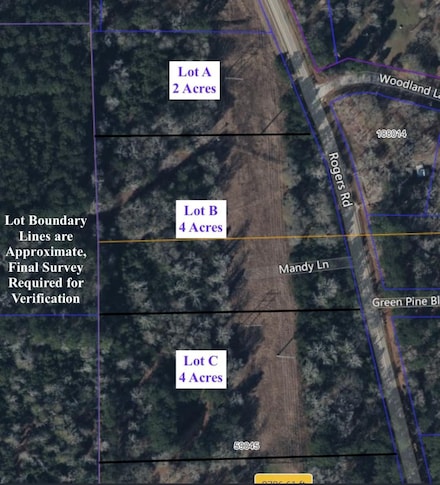 15255 Aa Rogers Rd, Willis, TX 77378