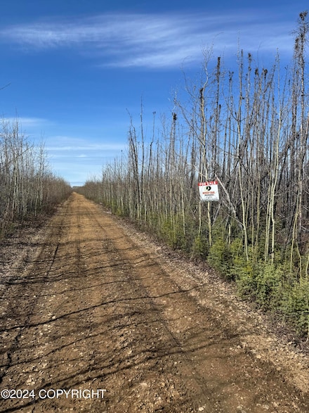 NHN Kobe Ag Rd, Anderson, AK 99744