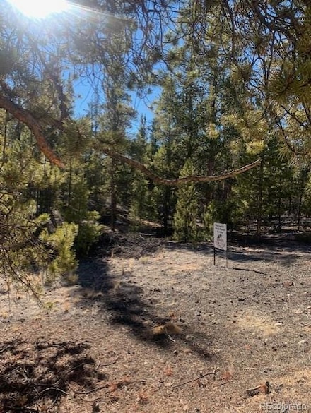 180 Peakview, Twin Lakes, CO 81251