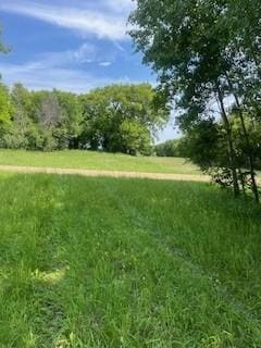 XXX 91st St NW, Maple Lake, MN 55358
