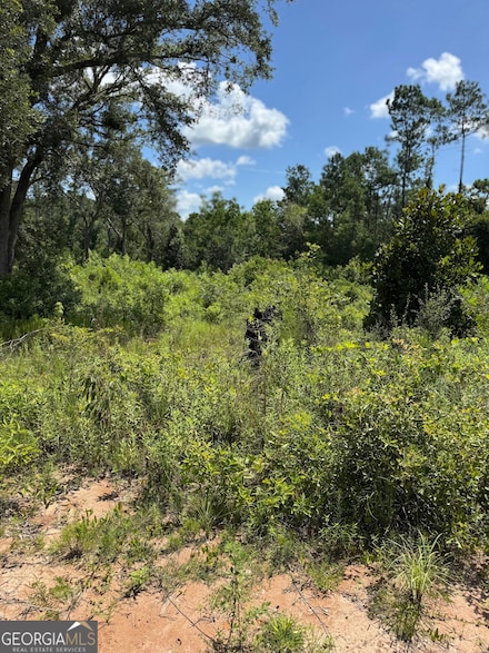 5125 Kinderlou Clyattville Rd, Valdosta, GA 31601