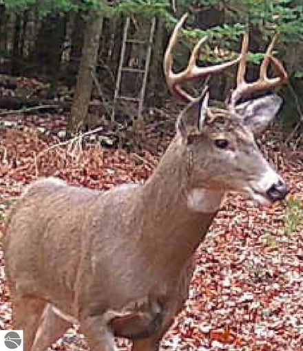 000 Old M-66, Orange Township, MI 49646