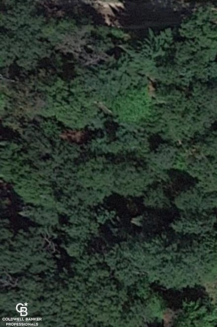 000 W 7th St, Skidway Lake, MI 48756