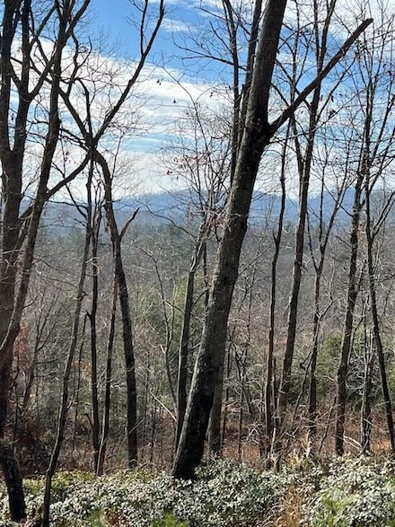 00 Orchard View Trail Unit 11, Spruce Pine, NC 28777
