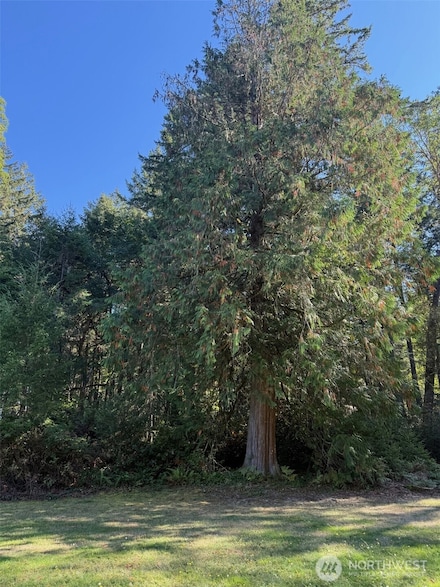 17430 27th St SW, Lakebay, WA 98349