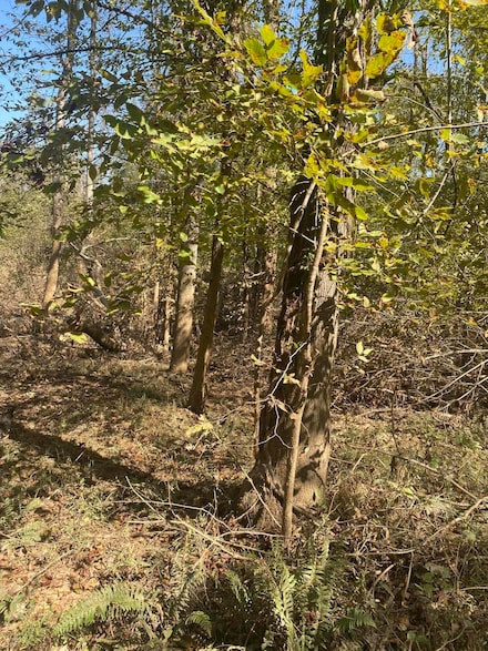 Tbd Youngblood Rd, Edgefield, SC 29824