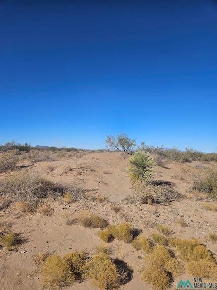 XXX Rose Dr, Deming, NM 88030