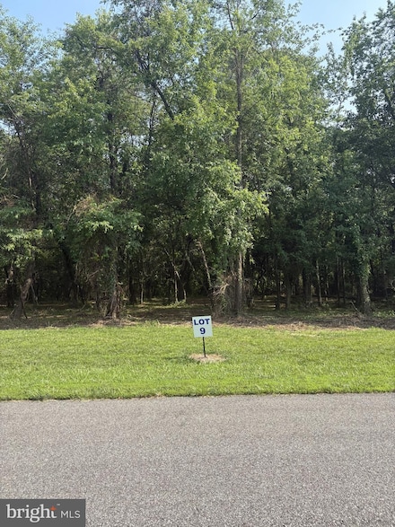 9 Wilson Point Rd, Galena, MD 21635