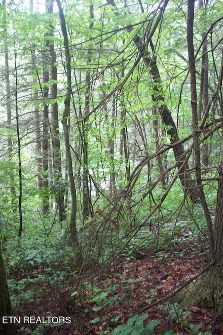 509 Chetola Trail, Townsend, TN 37882