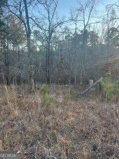 0 River Ridge Trail Unit 10638439, Sparta, GA 31087