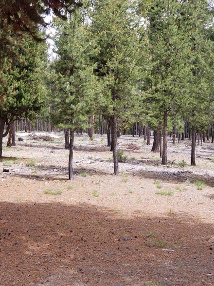 1501 Friendly Ln, Gilchrist, OR 97737