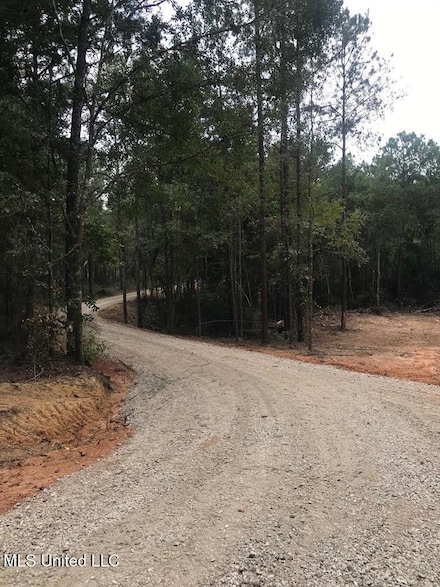 Lot #7 Burgetown Rd, Carriere, MS 39426