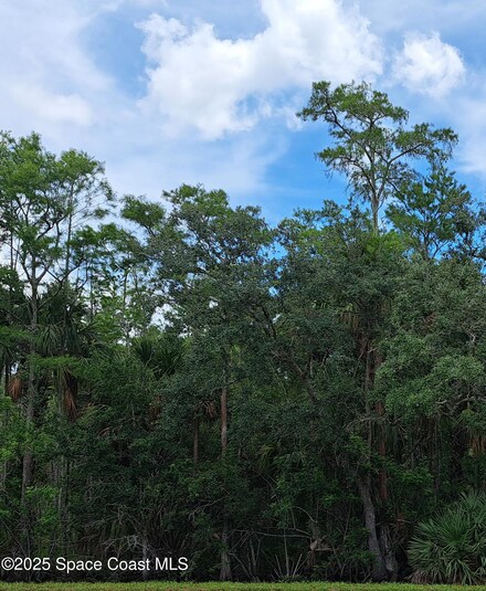 None Unknown, Grant, FL 32949