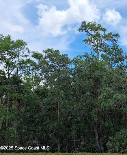 Unknown Balog Ct, Grant-Valkaria, FL 32949