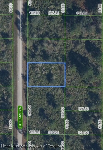 228 Otter Ave NW, Lake Placid, FL 33852