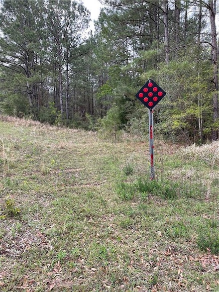 0 Cleburne Rd N Unit 7191359, Chunchula, AL 36521