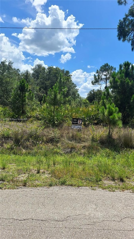 817 Lincoln Ave, Lehigh Acres, FL 33972