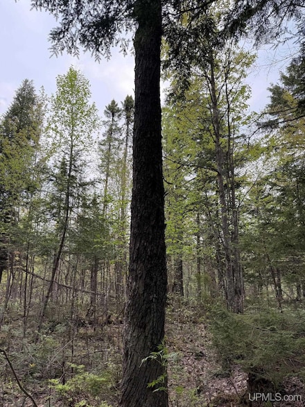 TBD Sandstone Rd, Lake Linden, MI 49945